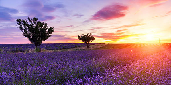 Provence-Alpes-Côte d'Azur, France